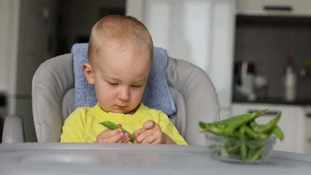 Little child with a pod of sweet green peas. 4K