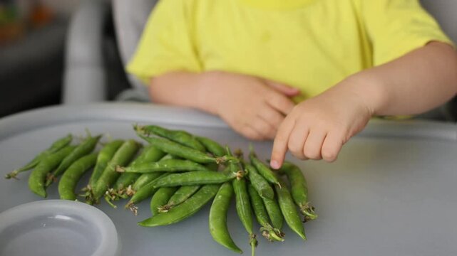 Little child with a pod of sweet green peas. 4K