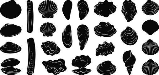 Collection of black marine seashell silhouettes featuring oysters, clams, and scallops on a white background © MstShapla