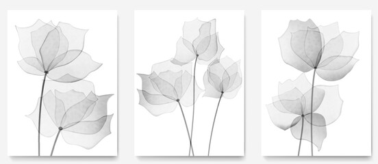 Naklejka premium Black and white art background with transparent watercolor flowers. Botanical floral set for prints, posters, packaging, wallpaper, textiles, covers, and interior design.