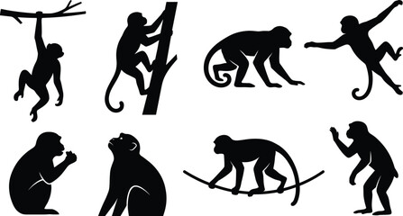 Collection of black monkey silhouette icons in various natural poses like climbing hanging and sitting for wildlife branding © MstShapla