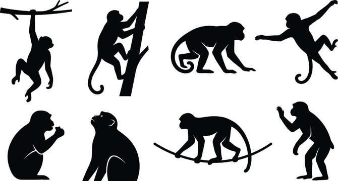 Collection of black monkey silhouette icons in various natural poses like climbing hanging and sitting for wildlife branding