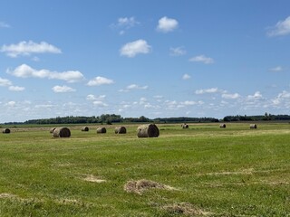 Rural Scene with Hay Bails and Blue Sky with Puffy Clouds and Green Landscape © Jason Lee