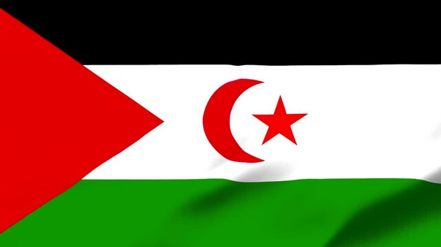 Flag of Western Sahara with red star and crescent on white background