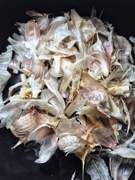 A close-up view of garlic skin