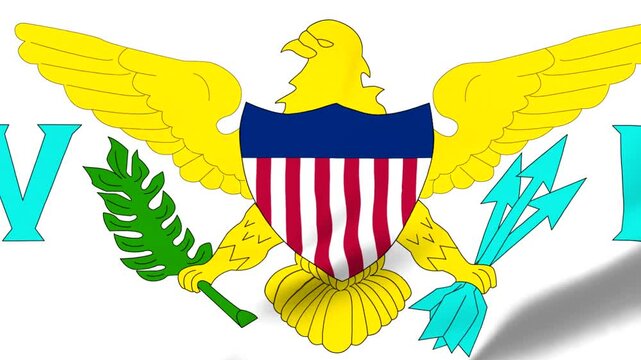 Flag of United States Virgin Islands Video