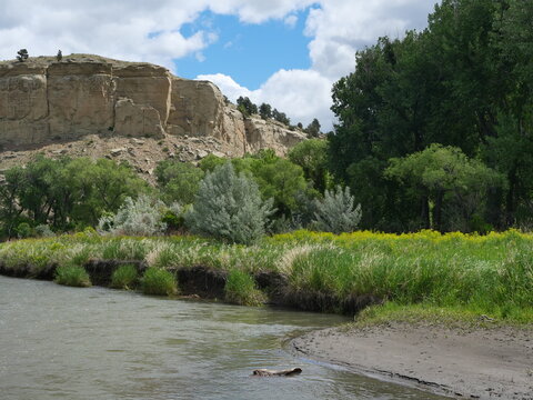 Yellowstone River with sandstone cliffs and wildflowers at Four Dances Trail, Billings, Montana