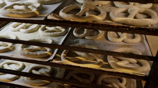 Freshly shaped pretzels arranged on multiple trays in a bakery, showcasing the dough's texture and the organized layout of the baking racks in a warm environment