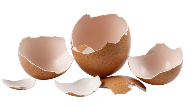 Isolated broken brown speckled chicken eggshells with inner membrane visible, concept of fragility