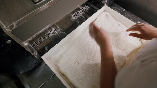 Baker's hands gently lift and manipulate dough from a tray, showcasing the texture and consistency of the mixture in a commercial kitchen setting