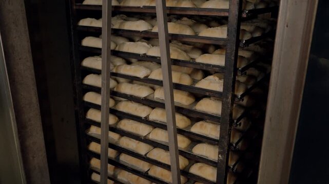 Freshly baked bread rolls rising on racks inside an industrial oven, showcasing the gradual transformation from dough to golden-brown pastries in a bakery setting