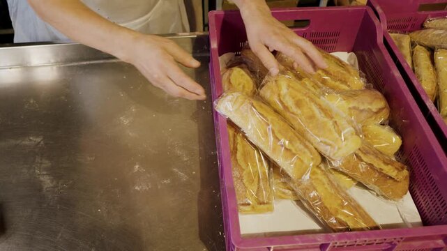 Baker's hands placing packaged bread loaves into pink crates on a stainless steel counter in a bakery, showcasing the process of organizing baked goods for display