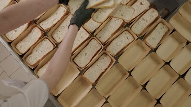 Individual wearing black gloves places slices of bread into trays, arranging them in neat rows, with a clean workspace visible in the background, emphasizing food preparation