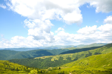Obraz premium Sunlit green mountains and rolling hills unfold into wide meadow filled valley under dramatic cloudscape and bright blue sky evoking peaceful, scenic summer travel and outdoor exploration. Carpathians
