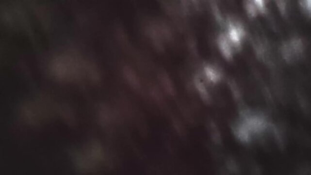 An abstract high contrast black and white dark animated background with vibrant overlapping lightt textures moving in random motion