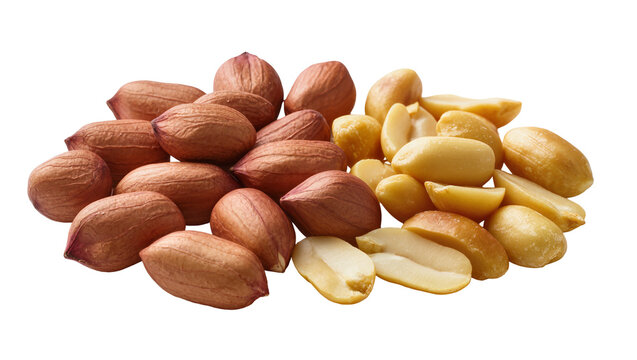 Isolated raw peanuts with reddish skins and peeled kernels healthy snack food ingredient
