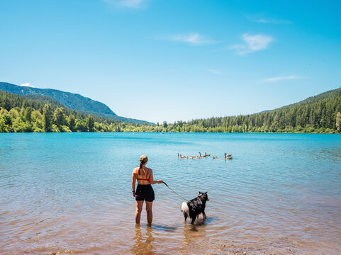 woman outdoors with dog in rattlesnake lake with geese in seattle washington