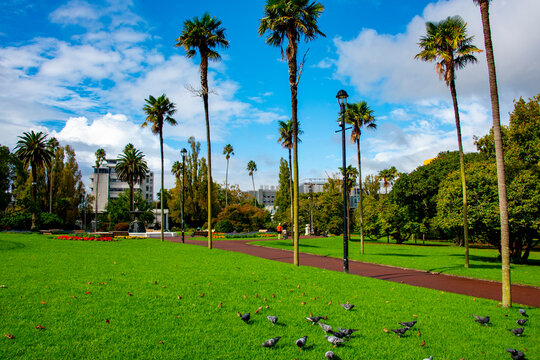 Albert Park in Auckland - New Zealand