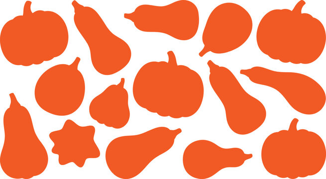 Assorted orange squash and pumpkin silhouettes scattered randomly on a white background for decoration