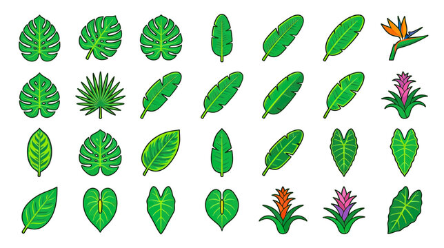 Tropical Leaves and Exotic Flowers Collection