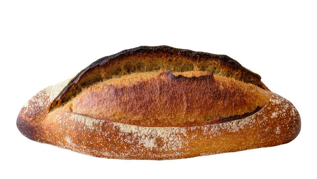 Isolated artisan sourdough bread loaf with crispy crust, freshly baked and golden brown