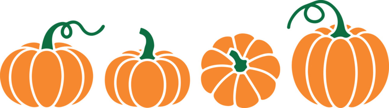 pumpkin vector set four pumpkins with curled stems