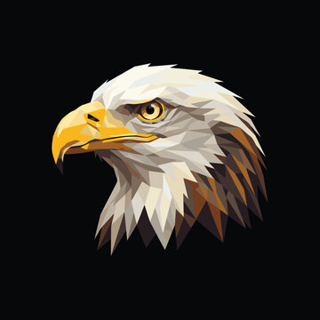Low poly style bald eagle head vector image