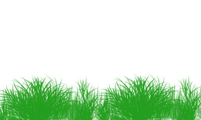 Fototapeta premium Green grass blades illustration on transparent background