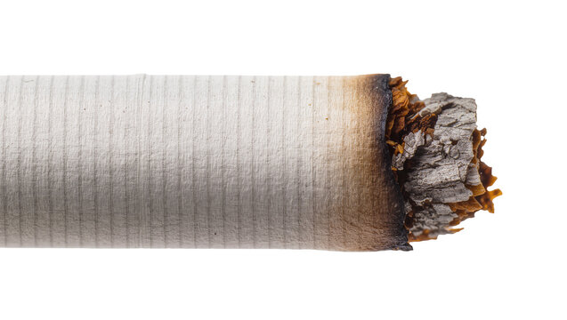 Isolated burning cigarette close-up, showing glowing ember, ash, and textured paper