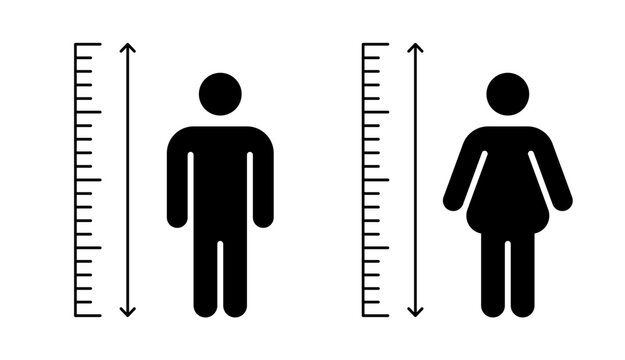 Human Body Height Measurement Scale Vector Set, Male and Female Height Indicator Icon