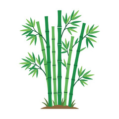 Obraz premium Green bamboo stalks with leaves on white background
