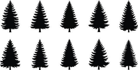 Collection of black silhouette pine trees isolated on transparent background © Nusrat