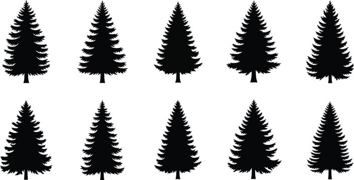 Collection of black silhouette pine trees isolated on transparent background