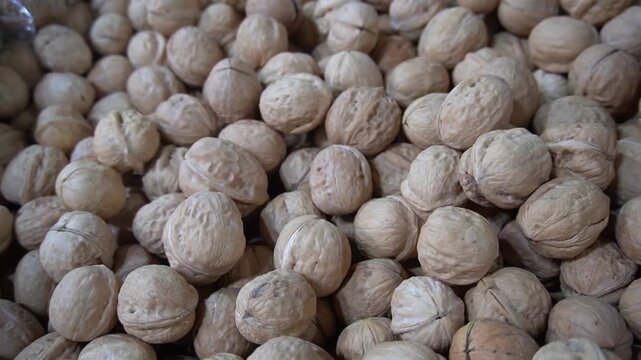 A large mound of whole raw brown walnuts in their shells stacked up for sale at a traditional food market