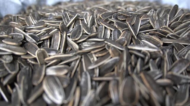 A massive pile of black and white striped sunflower seeds displayed for sale at a local wholesale market