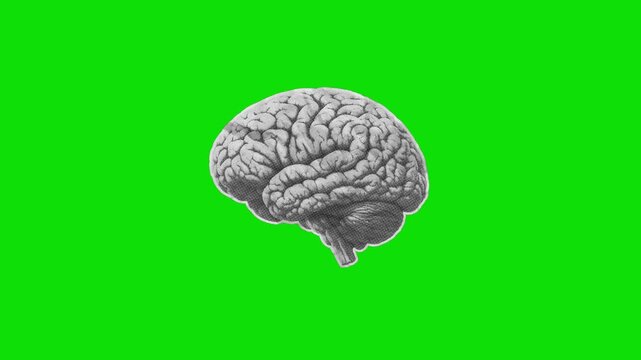 Halftone paper brain unfold animation video