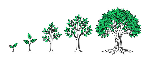 Tree Growth Stages: Seedling to Mature Tree Line Art © Dayah
