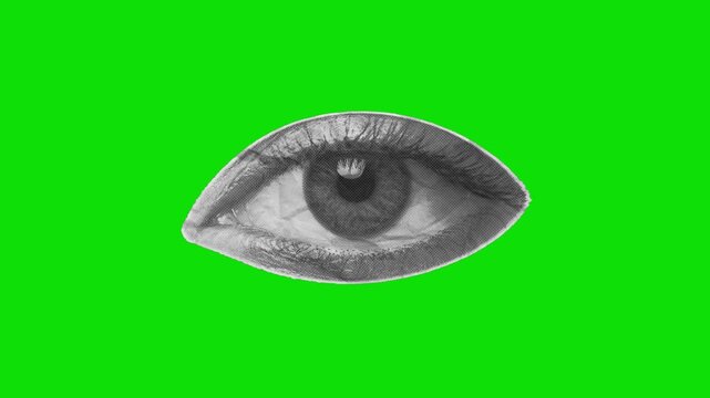 Halftone paper eye unfold animation video