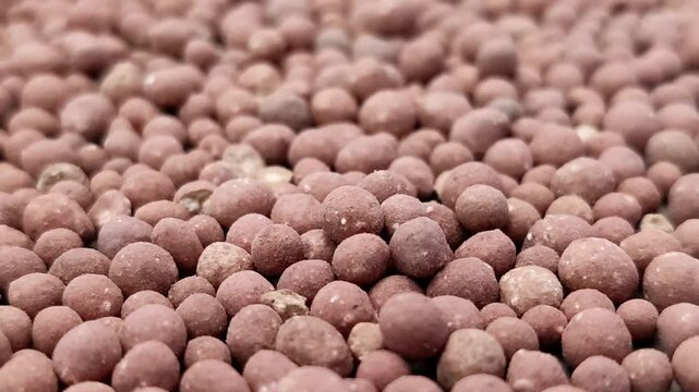 Organic guano fertilizer, perfect for agriculture, gardening, and soil enrichment