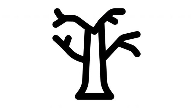 tree animated Line Icons Premium 4K, Modern Minimal Outline Motion Graphics Collection