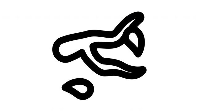 twig animated Line Icons Premium 4K, Modern Minimal Outline Motion Graphics Collection