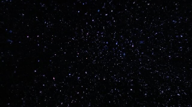 Abstract blue sound wave visualization on black background with sparkling particles.