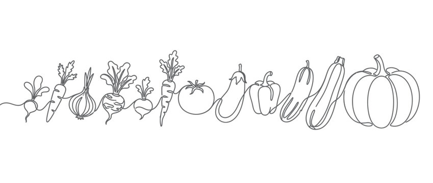 Continuous line drawing of fresh vegetables border