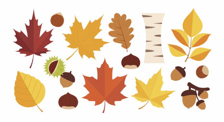 Vibrant Autumn Leaves and Nuts Collection. © Truk