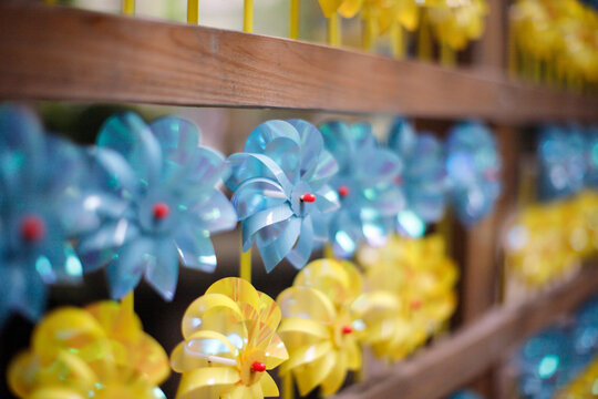 Colorful blue and yellow pinwheels arranged neatly in rows along a wooden rack