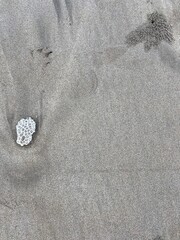 footprints in the sand © Via