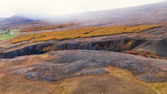Aerial view of autumn larch forest and basalt canyon in Iceland - Horizontal forwards drone shot