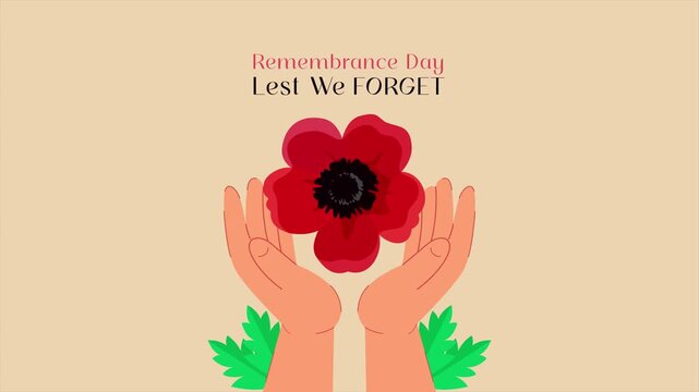 Hands holding poppy flower with respect. Remembrance Day concept. Full length Icon animation illustration. High quality&nbsp;4k&nbsp;footage