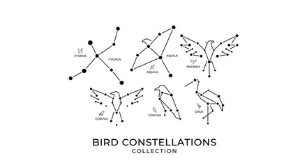 Minimalist bird constellation star patterns collection vector © Mafaat
