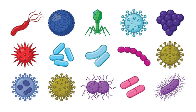 Microbiology bacteria and virus vector illustration set featuring different microscopic pathogens, infection icons, germs, and medical biology cells